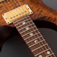 PRS Paul's Guitar Dirty 100 #59 (2009) Detailphoto 12