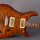 PRS Paul's Guitar Dirty 100 #59 (2009) Detailphoto 5