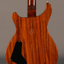 Photo von PRS Paul's Guitar Private Stock #5283 (2014)