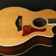 Taylor 414ce Fall Limited (2011) Detailphoto 4