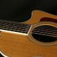 Taylor 414ce Fall Limited (2011) Detailphoto 10