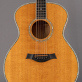 Taylor 614GB Gerry Beckley Signature (1997) Detailphoto 1
