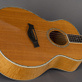 Taylor 614GB Gerry Beckley Signature (1997) Detailphoto 11