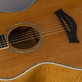 Taylor 614GB Gerry Beckley Signature (1997) Detailphoto 18