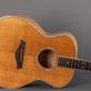 Taylor 614GB Gerry Beckley Signature (1997) Detailphoto 5