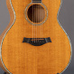 Taylor 614GB Gerry Beckley Signature (1997) Detailphoto 3