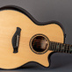Taylor 914ce Builder's Edition Natural (2023) Detailphoto 5