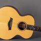 Taylor 955 12-String Natural (1998) Detailphoto 5