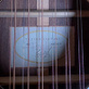 Taylor 955 12-String Natural (1998) Detailphoto 25