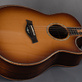 Taylor GO Built-to-order One-off (2014) Detailphoto 11