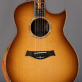 Taylor GO Built-to-order One-off (2014) Detailphoto 1