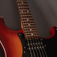 Fender Stratocaster 56 NOS HH Masterbuilt Greg Fessler (2014) Detailphoto 14