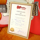 Fender Stratocaster 60 Relic Fiesta Red Matching Headstock (2011) Detailphoto 21