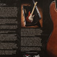 Fender Stratocaster SRV Tribute "Lenny" Masterbuilt Stephen Stern (2007) Detailphoto 23