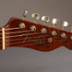 Fender Telecaster 52 Relic Bronze Masterbuilt Dale Wilson (2021) Detailphoto 10