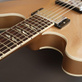 Gibson DG-335 Dave Grohl Gold Metallic (2014) Detailphoto 14