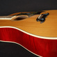 Gibson Dove 100th Anniversary (1994) Detailphoto 13