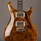 PRS Custom 24 Wood Library German Limited Edition (2021) Detailphoto 1